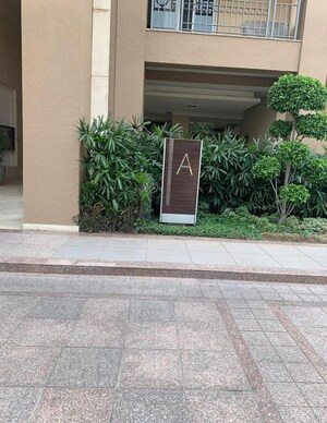3 BHK Apartment – Exterior View View at Emaar The Palm Springs, Sector 54 - for Sale