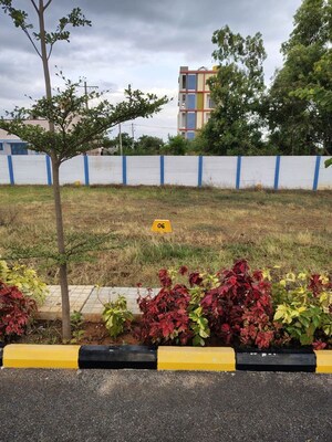 Plot Area in  Plot at Anekal – for Sale