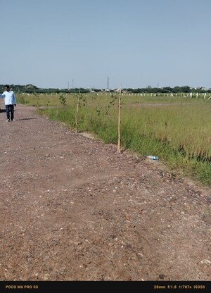  Plot For Sale in Sohna