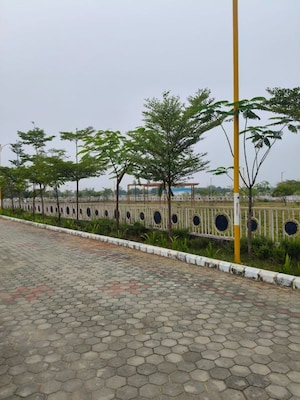   Plot at Riyasat Town, Shivdaspura – for Sale