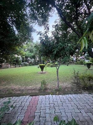 Plot Area in  Plot at Sector 61 – for Sale