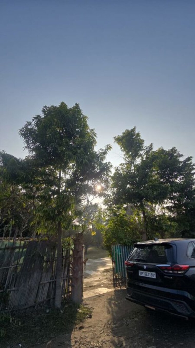 Garden, pi greater noida  230 Sq.Mt. Plot In Pi Greater Noida Greater Noida 10785761