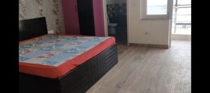 2 BHK Apartment For Rent in Gail Society, Pi Greater Noida
