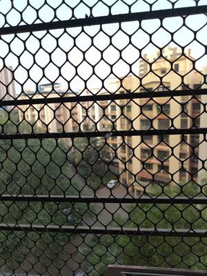 2 BHK Apartment – Exterior View View at Golden Park Complex, Gokul Nagar - for Sale