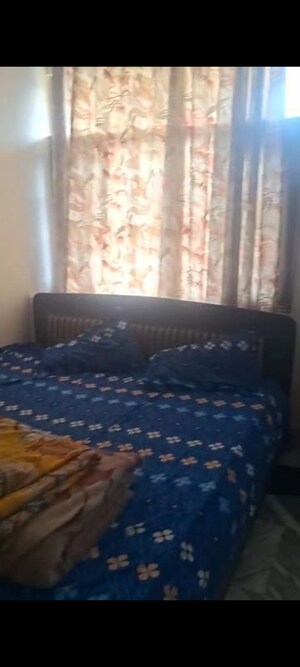 1 RK Builder Floor For Rent in Sector 21