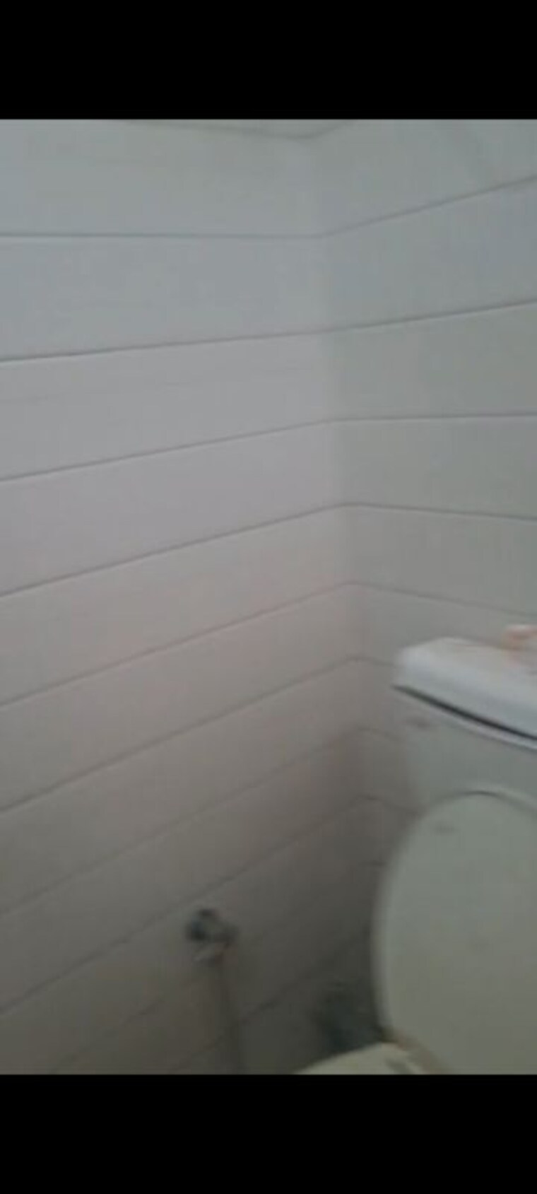 Room, sector 21 1 RK 500 Sq.Ft. Builder Floor In Sector 21 Chandigarh 10786421