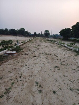 Plot Area in  Plot at Madar Pur – for Sale