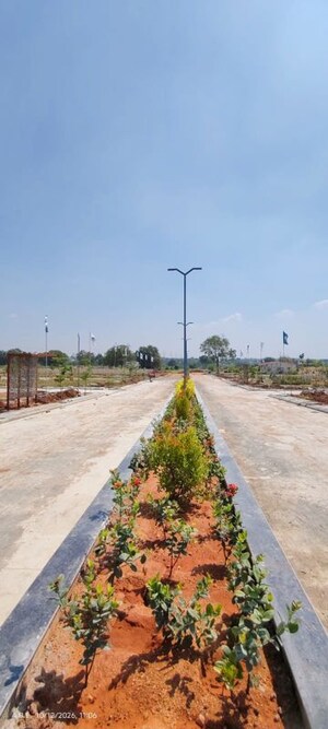Plot Area in  Plot at Shadnagar – for Sale