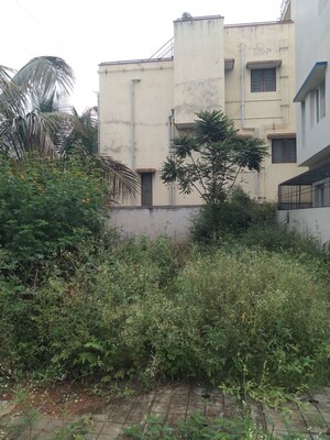  Plot For Sale in Rose Garden Kalkere, Kalkere