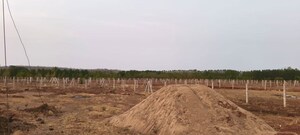Plot Area in  Plot at Joratarai – for Sale