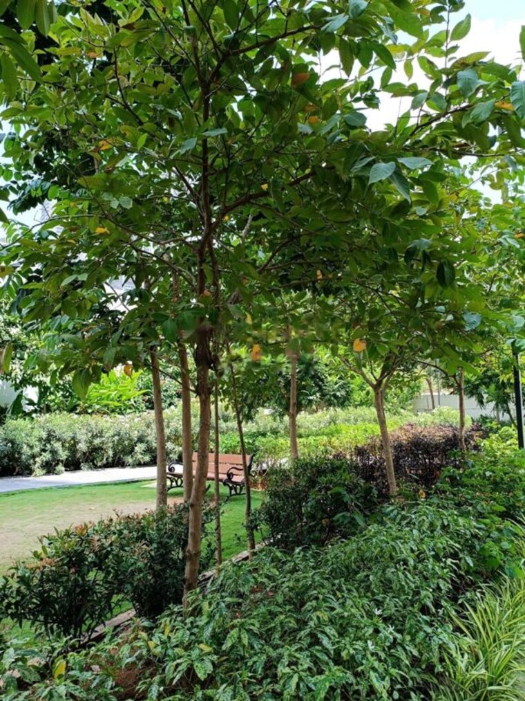 Garden, gem-nakshatra 3 Bedroom 1820 Sq.Ft. Apartment In Kokapet Hyderabad 10786724
