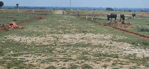  Plot For Sale in Manda