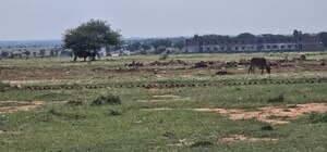 Plot Area in  Plot at Manda – for Sale
