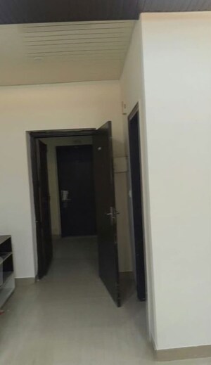 Building Lobby in 1 RK Apartment at Sunrakh Bangar – for Rent
