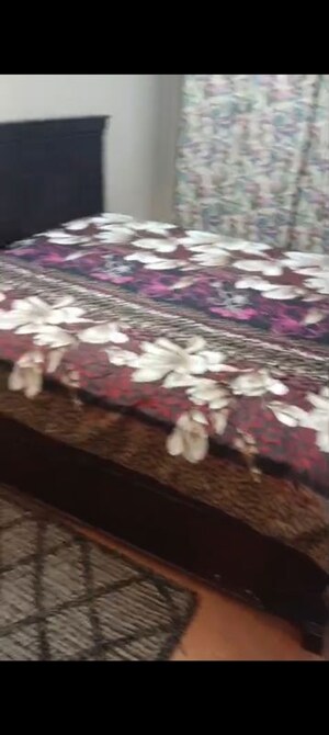 Studio Builder Floor For Rent in Greater Kailash