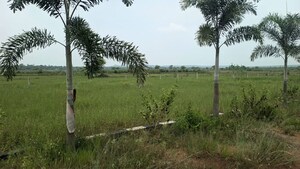  Plot For Sale in Mendhasala