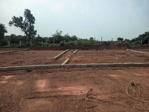 Plot For Sale in Malipada