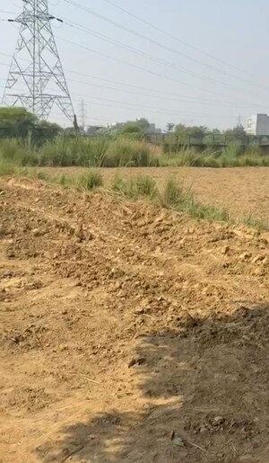  Plot For Sale in Rani Mandi