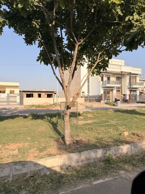  Plot For Sale in Sector 82