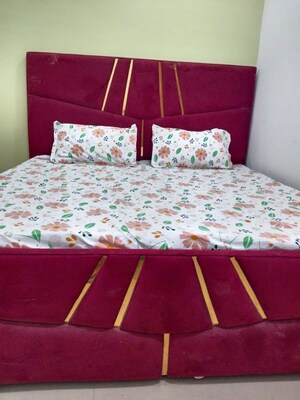 1 BHK Apartment For Rent in Freedom Fighters Enclave