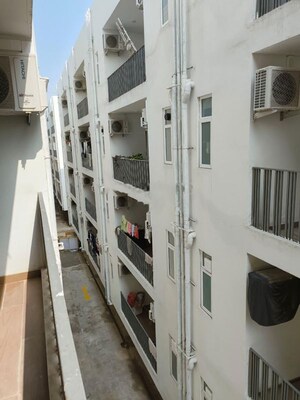3 BHK Apartment – Exterior View View at Signature Global City 81, Sector 81 - for Rent