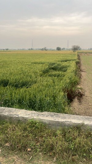 Plot Area in  Land at Pataudi – for Sale