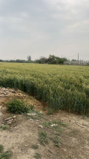 Plot Area in  Land at Pataudi – for Sale