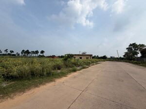  Land For Sale in Pataudi