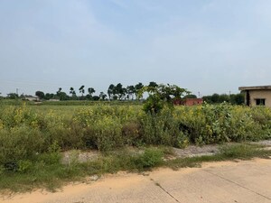 Plot Area in  Land at Pataudi – for Sale