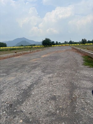 Plot Area in  Plot at Sitharamapuram – for Sale