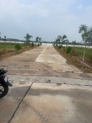   Plot at Sitharamapuram – for Sale