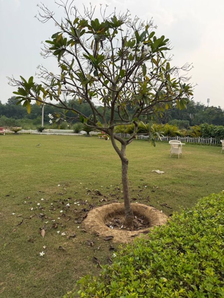 undefined, rahmatnagar  1380 Sq.Ft. Plot In Rahmatnagar Lucknow 10788283