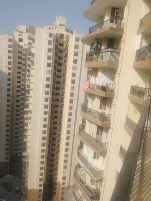 3 BHK Apartment For Rent in Sector 107