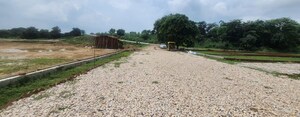 Plot Area in  Plot at Gangaganj – for Sale