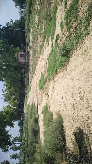  Plot For Sale in Ashiyana