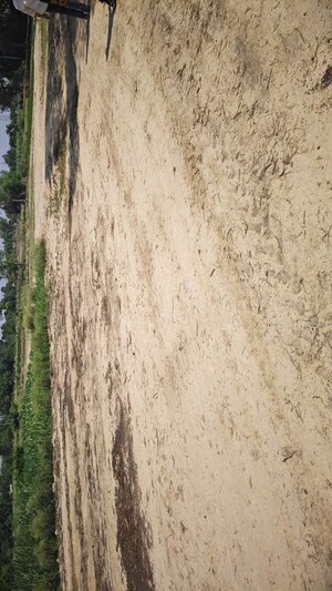 Plot Area in  Plot at Ashiyana – for Sale