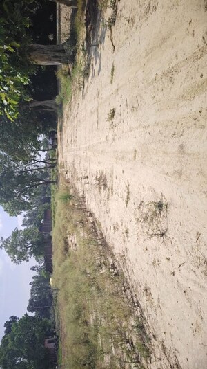 Plot Area in  Plot at Ashiyana – for Sale