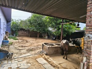  Plot – Exterior View View at Kalal Kheria - for Rent