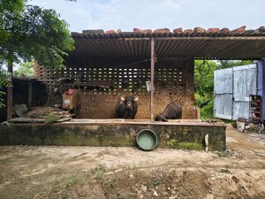  Plot – Exterior View View at Kalal Kheria - for Rent