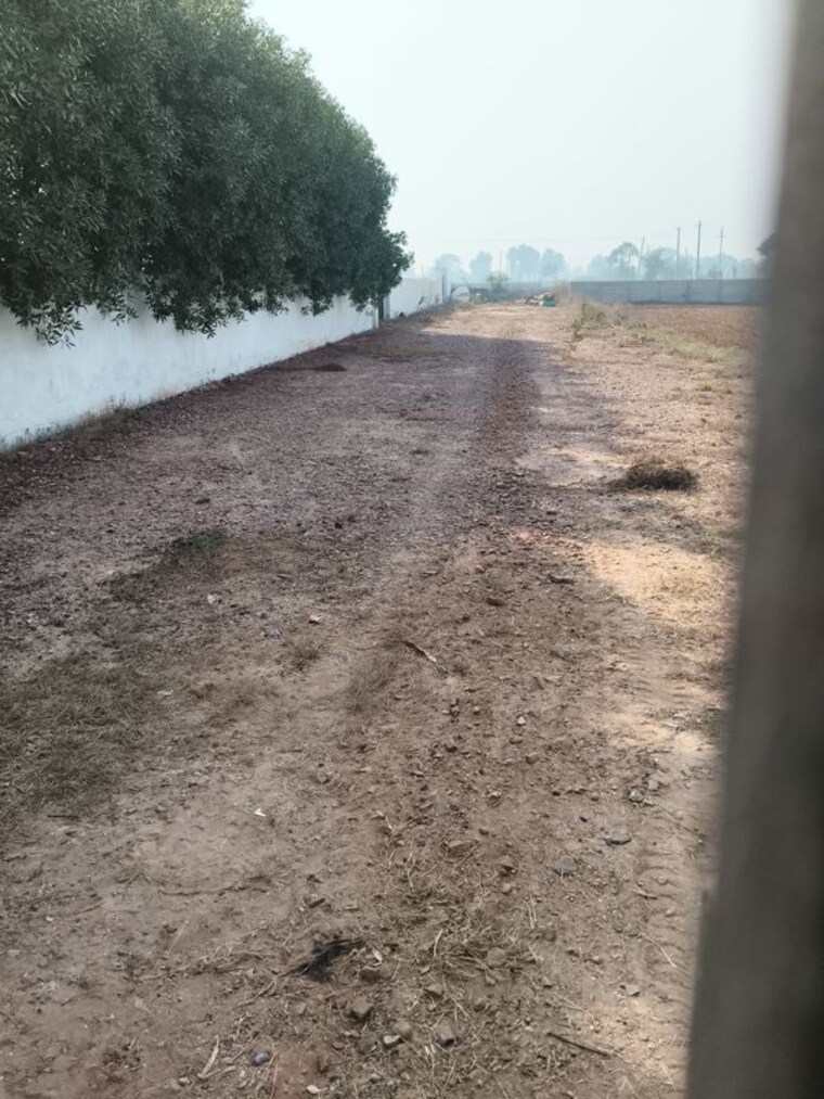 undefined, palam vihar  100 Sq.Yd. Plot In Palam Vihar Gurgaon 10789227