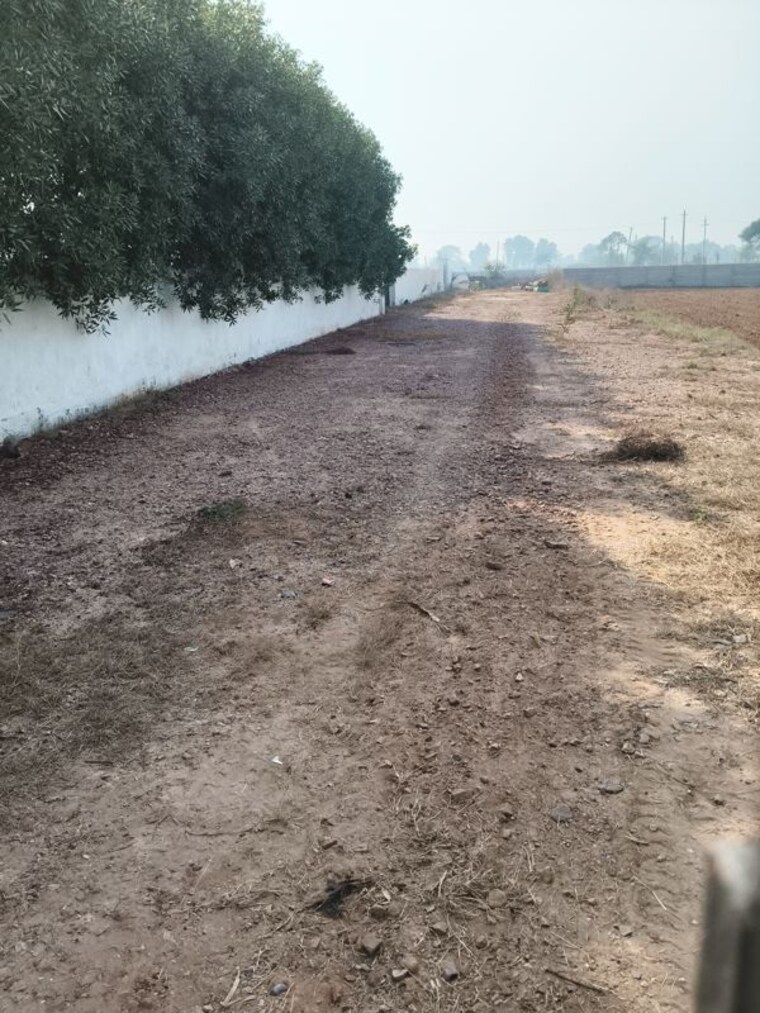 undefined, palam vihar  100 Sq.Yd. Plot In Palam Vihar Gurgaon 10789227