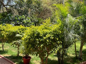 5 BHK Villa – Garden View at Aparna Cyber County, Gopanpally - for Rent