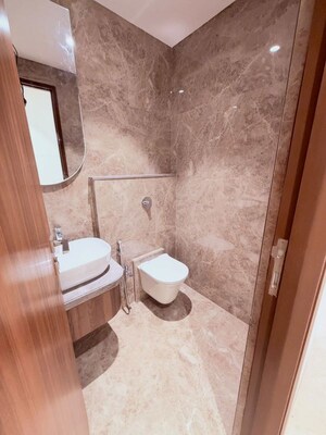 Bathroom in 3.5 BHK Apartment at Ekta Crest, Chembur – for Rent