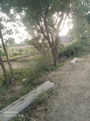 Plot Area in  Land at Shuklaganj – for Sale