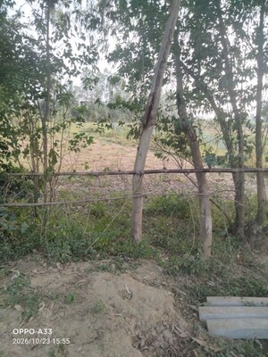 Plot Area in  Land at Shuklaganj – for Sale