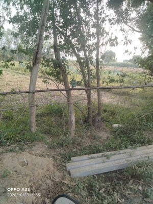 Plot Area in  Land at Shuklaganj – for Sale