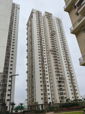 3 BHK Apartment For Rent in Bhavyas Tulasivanam Avani, Kukatpally