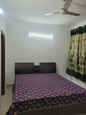 2 BHK Apartment For Rent in Motia Citi Royal Business Park, Ambala Highway
