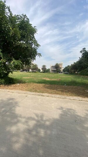 Plot Area in  Plot at Omaxe New Chandigarh, North Mullanpur – for Sale