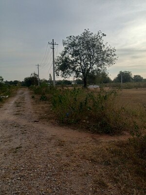  Plot For Sale in Maheshwaram